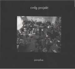 cvdg projekt/ paradise